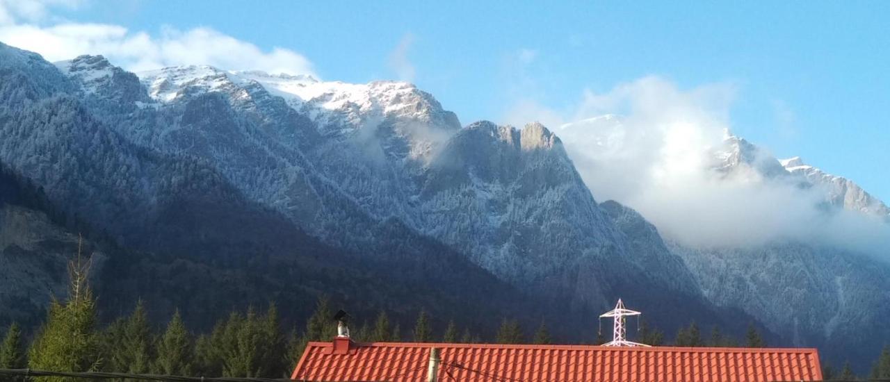 Poiana Dintre Brazi Chalet, Bucegi Panorama Sinaia Ngoại thất bức ảnh